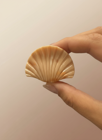 İstiridye Model Toka Küçük Boy