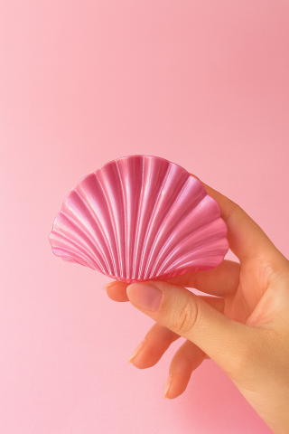 İstiridye Model Toka Büyük Boy